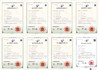चीन Hunan Golden Import and Export Co., Ltd. प्रमाणपत्र